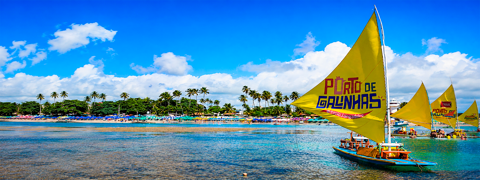 Viva o Paraíso — Porto de Galinhas